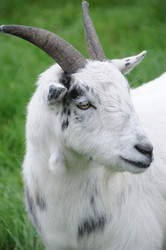 Similar image 8038207