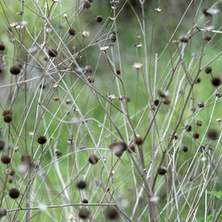 Similar image 8038222