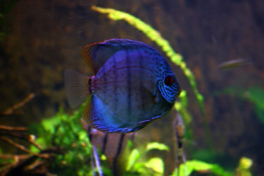 Similar image 8038224