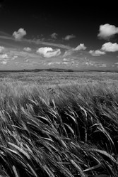 Similar image 8038227