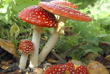 Similar image 8038240