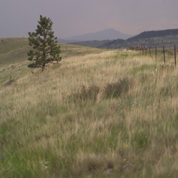 Similar image 8038244