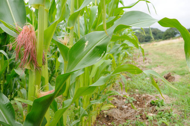 Similar image 8038255