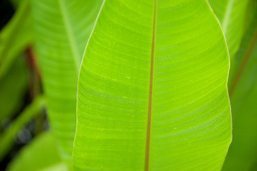 Similar image 8038260