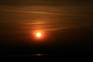 Similar image 8038263