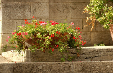 Similar image 8038266