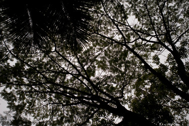 Similar image 8038268