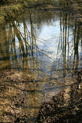 Similar image 8038289