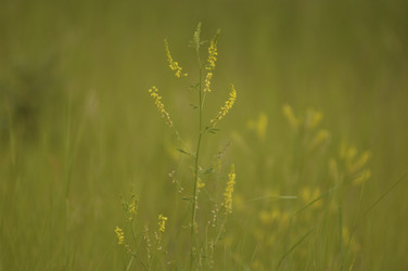 Similar image 8038309