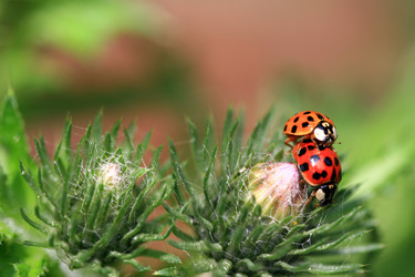 Similar image 8038313