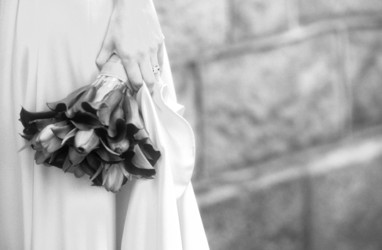 Similar image 8038323