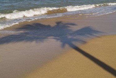 Similar image 8038326