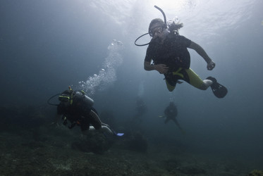 Similar image 8038329