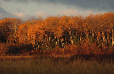 Similar image 8038335