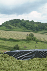 Similar image 8038342