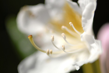 Similar image 8038343