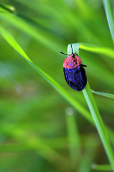 Similar image 8038350