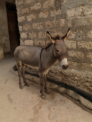 Similar image 8038357