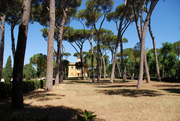 Similar image 8038358