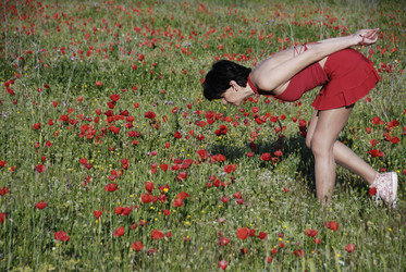 Similar image 8038362