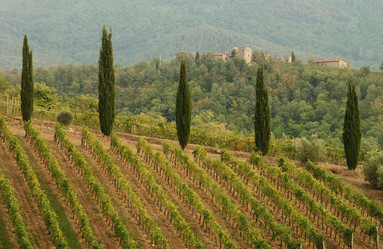 Similar image 8038365