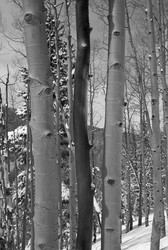 Similar image 8038367