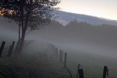 Similar image 8038368