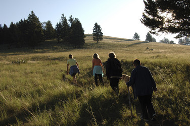 Similar image 8038377