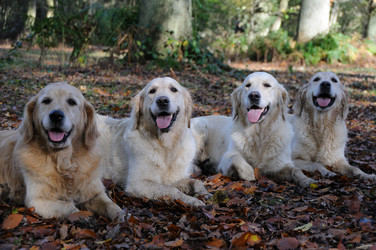 Similar image 8038379