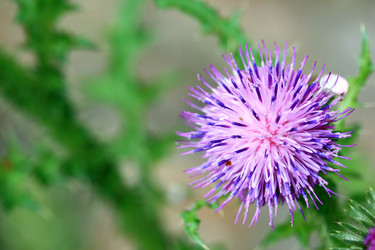 Similar image 8038381