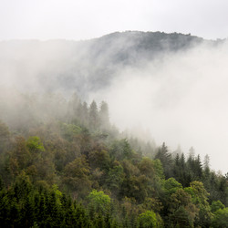 Similar image 8038390