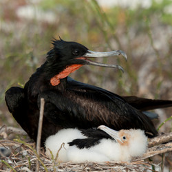 Similar image 8038393