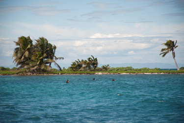 Similar image 8038399