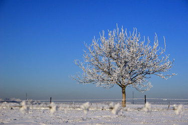 Similar image 8038406