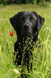 Similar image 8038414