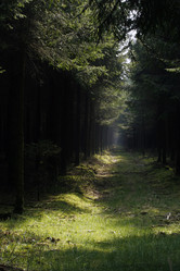 Similar image 8038416