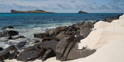 Similar image 8038417