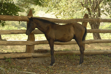 Similar image 8038419