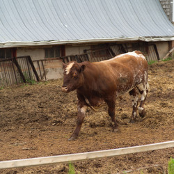 Similar image 8038421