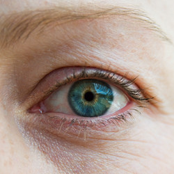 Similar image 8038430