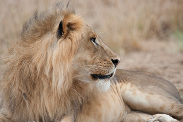 Similar image 8038431