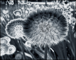 Similar image 8038433