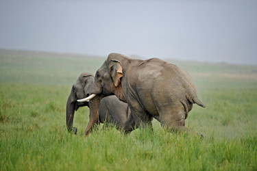 Similar image 8038443