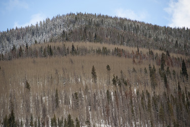 Similar image 8038448