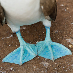 Similar image 8038453