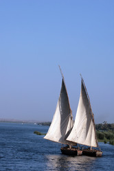 Similar image 8038454