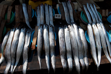 Similar image 8038456