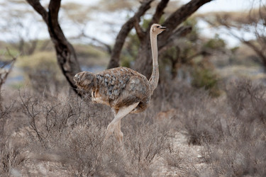 Similar image 8038459