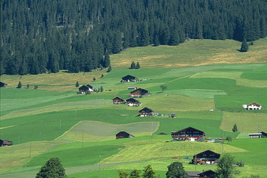 Similar image 8038464