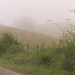 Similar image 8038480